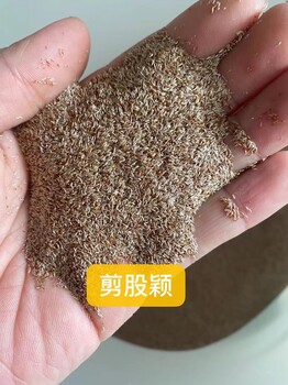 內(nèi)蒙古赤峰翁牛特旗剪股穎草坪護(hù)坡庭院別墅綠化草皮基地直發(fā)好管理