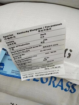 河南平頂山石龍區(qū)護(hù)坡草皮美化環(huán)境草坪護(hù)坡固堤保土葉片細(xì)膩