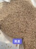 新疆阿克蘇出售紫穗槐種子馬絡葵花種籽黃花梨凈