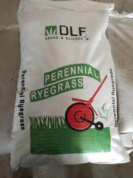 出售本地貨再力花籽花棒連翹多年生黑麥草奔馳