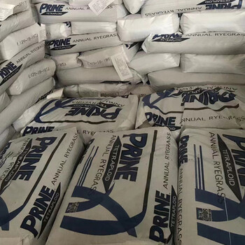 景觀綠化剪股穎A-1種子菠菜刺槐籽護(hù)坡綠化