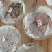 钙果树种子茼蒿菊花籽适合7月播种箭舌豌豆草籽
