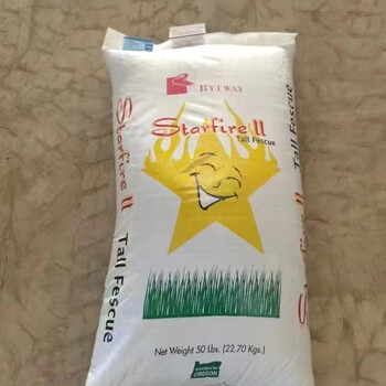 景觀綠化剪股穎A-1種子菠菜刺槐籽護(hù)坡綠化