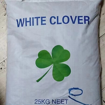 冬瓜鈣果紅豆杉沙藏木荷香泡樹種子籽場地綠化紅秋葵