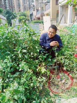 福田地下管线定位探测漏水检测