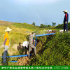 广西滴灌设计南宁灌溉设备安装