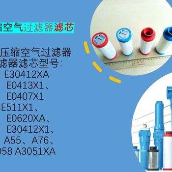 Walker過濾器E0407X1沃克Walker過濾器濾芯