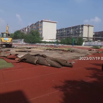 臨邑回收塑膠跑道人造草坪拆除清運出售二手仿真草坪塑膠場地打磨
