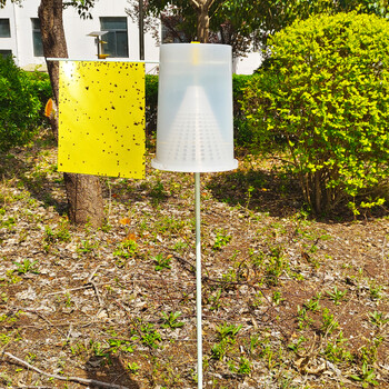 太阳能杀虫灯防治金龟子虫害的使用效果