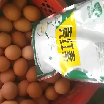解決雞下軟蛋問(wèn)題：優(yōu)化飼料、環(huán)境和飼養(yǎng)管理的綜合方案