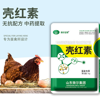 降低雞蛋破損率，提升養(yǎng)殖效益的關(guān)鍵