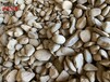 广东鹅卵石小石子-清远鹅卵石多少元一吨-英德鹅卵石堆场