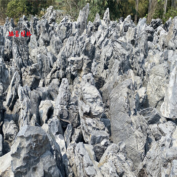 峰石峰山假山设计-广东峰石厂家-别墅庭院峰石造景