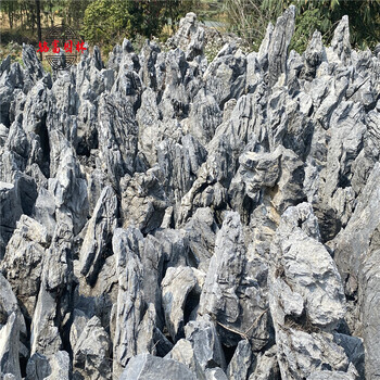 江西青龙石鱼缸造景-青龙石报价多少-清远青龙石小假山