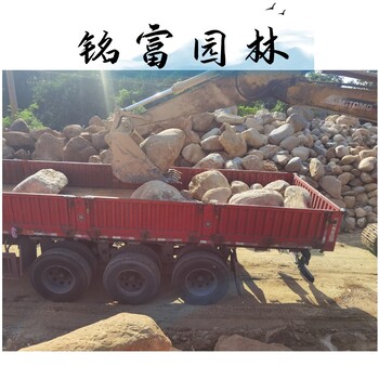 鵝卵石小河石廠家批售化州鵝卵石原石堆場鵝卵石廠家價(jià)格
