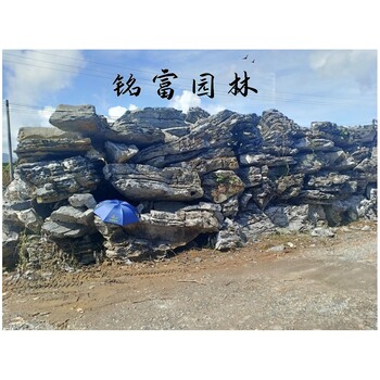 英德石景觀石批發(fā)大塊英石假山石貨場英石庭院布景石