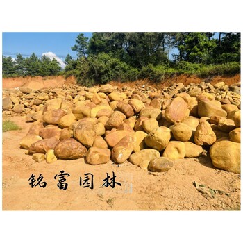 多种规格黄蜡石批售黄蜡石假山石原石堆场黄蜡石公园庭院布景石
