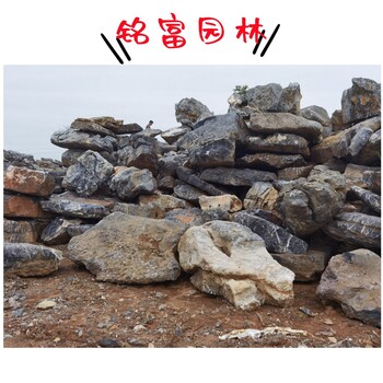 吨位石园林石厂家太湖石假山石堆场广东清远太湖石报价