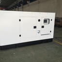高郵周邊發(fā)電機(jī)租賃站、(高郵)租賃發(fā)電機(jī)公司