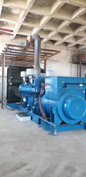 郟縣出租發(fā)電機(jī)組丨(郟縣)800KW發(fā)電機(jī)組租