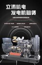 惠山區(qū)本地柴油發(fā)電機租賃丨(惠山區(qū))200KW發(fā)電機租