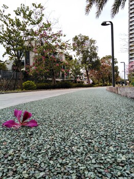 天津大学校园砾石聚合物仿石地坪，天然水洗石透水地面包工包料