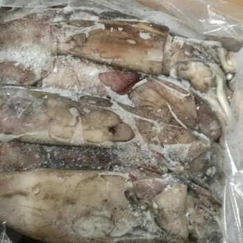 印度帶魚進口報關需要什么資料？印度帶魚進口清關關稅是多少？
