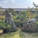 公園造景富貴綠石庭院廣泛用途假山石點綴綠色景石點景