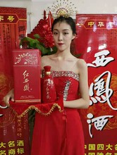 中国红红西凤酒陕西西安红西凤酒营销图片