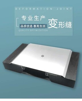 山东变形缝山东济南铝合金变形缝伸缩缝型号定制厂家