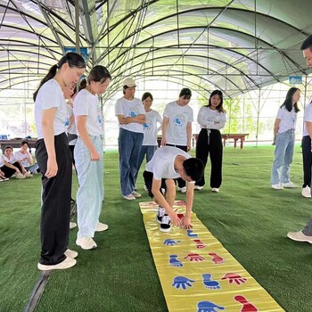 南山公司团建销售团队拓展的好去处可以容纳100人的场地