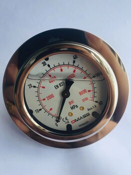 德瑪仕DMASS壓力表MBB06B-600-1-Z-Z-Z表圓63mm