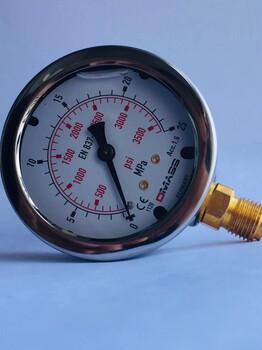DMASS压力表DMASS压力传感器意大利settima螺杆泵液压的心脏