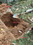社区供水管道掉压查漏，探测水管漏水检测，附近从管道漏水电话图片5