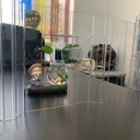 透明波浪瓦微山波浪瓦廠家蘭代爾片材工廠
