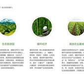 长春有机生态高标准茶叶种植立项备案用可行性研究报告-资质