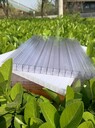 蔬菜大棚陽光板采光瓦濱州陽光板生產(chǎn)