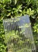 双层塑料板材中空东营阳光板温室大棚PC板