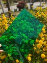 防靜電pc沂水耐力板陽(yáng)光板抗uv透明防輻射紫外線(xiàn)