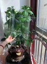 威海波浪瓦防火阻燃采光瓦規(guī)格庫存充足