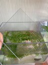 菏澤耐力板廠家成武透明pc耐力板5mm雨棚車棚頂棚隔熱阻燃pc板