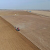 新疆固沙劑環保防風護苗農田固沙劑沙漠植草治沙