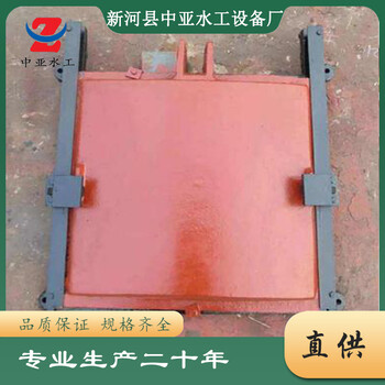 平板鑄鐵閘門(mén)水利鑄鐵閘門(mén)平面型鑄鐵閘門(mén)一體式鑄鐵閘門(mén)中亞