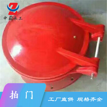 雙開拍門河北拍門防倒灌拍門復(fù)合式拍門中亞