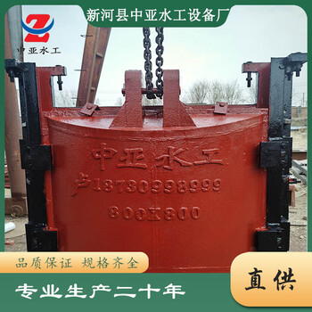 中亞防洪閘門(mén)一體式閘門(mén)液壓閘門(mén)雙向轉(zhuǎn)動(dòng)閘門(mén)