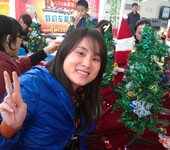 圣诞树DIY承接深圳圣诞树DIY精美圣诞树