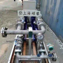 上海硕馨SNCR+SCR联合脱硝