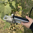 FS-3080DPro开路测量光合仪图片