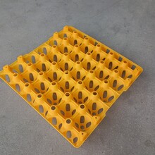 湖北武漢塑料30枚雞蛋托30枚雞蛋周轉托塑料30枚土雞蛋托圖片