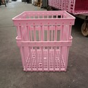 江蘇南通種雞場用種蛋箱42枚大種蛋筐可配41所種蛋托蛋箱